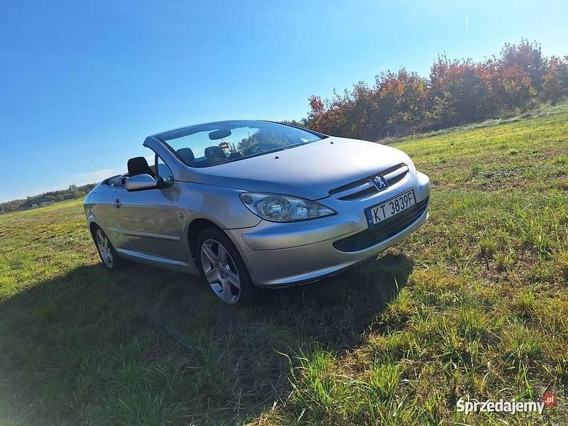 Używany Peugeot 307 2004