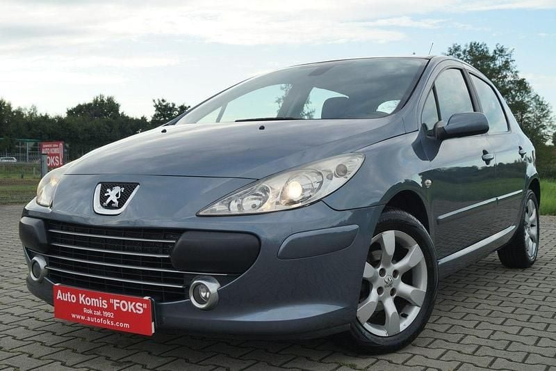 Szary Używany 2006 Peugeot 307 Hatchback | 7500 zł (Uczciwa cena) - Obraz 1/4