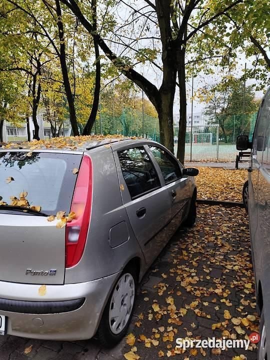 Używany 2001 Fiat Punto Hatchback | 1200 zł (Dobra cena) - Obraz 1/4