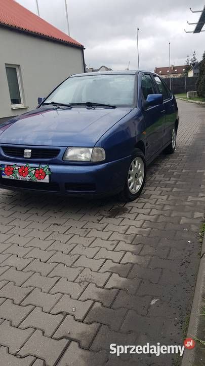 Obraz 2/4