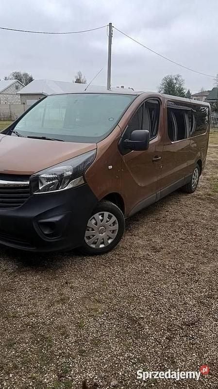 Brązowy Używany 2015 Opel Vivaro Minivan | 37 000 zł (Uczciwa cena) - Obraz 1/4