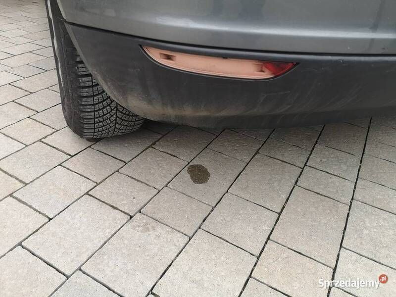 Używany 2008 VW Golf Plus Cross Minivan | 15 500 zł (Dość drogi) - Obraz 1/4