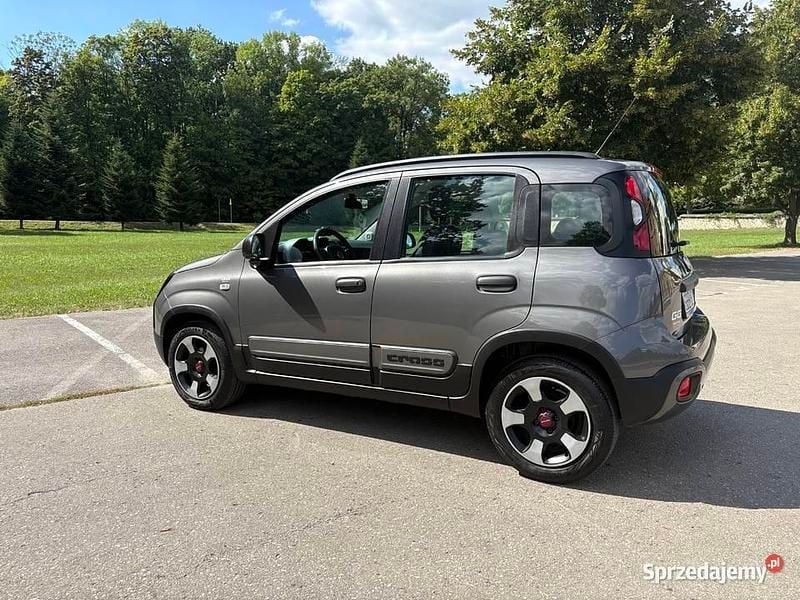 Szary Używany 2019 Fiat Panda Cross Hatchback | 39 900 zł - Obraz 1/4