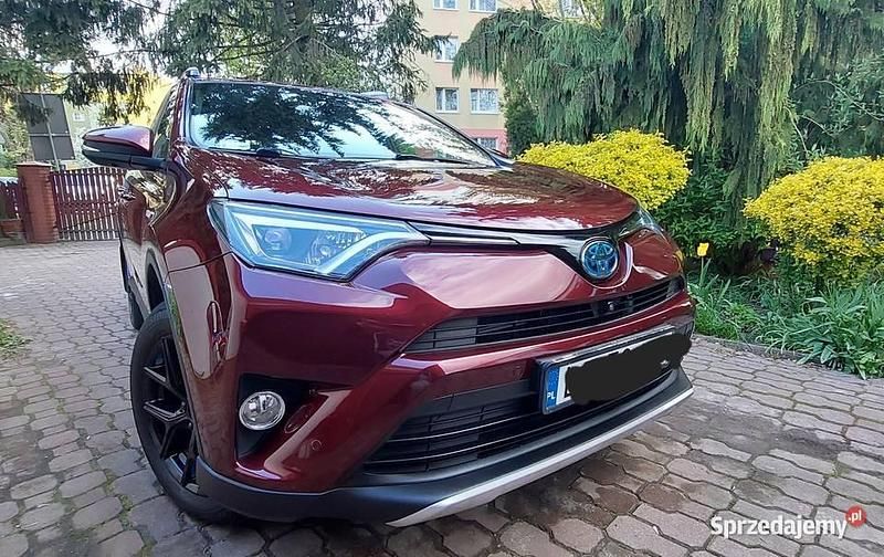 Wiśniowy Używany 2016 Toyota RAV4 Hybrid SUV | 83 500 zł (Drogi) - Obraz 1/4