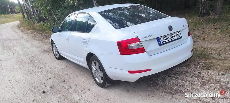 Obraz 4/4