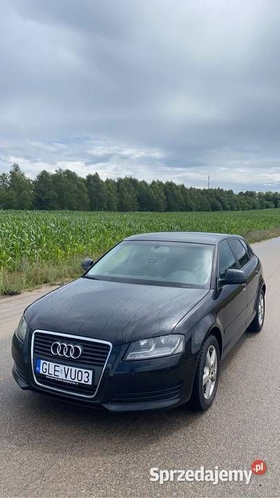 Używany 2008 Audi A3 | 26 000 zł (Drogi) - Obraz 1/4