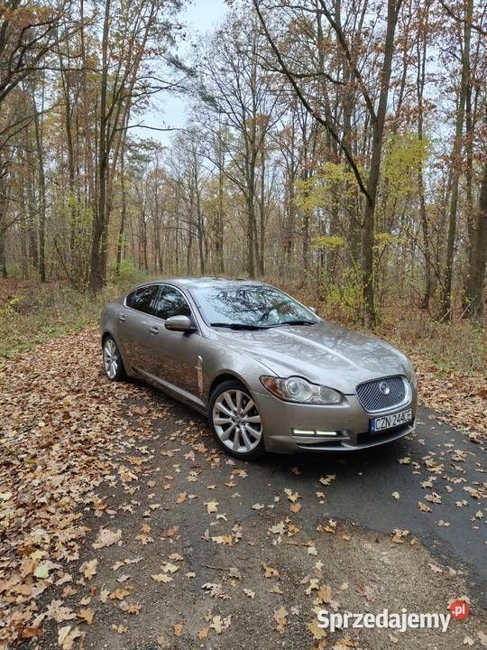 Używany Jaguar XF 2009 Sedan/Limuzyna