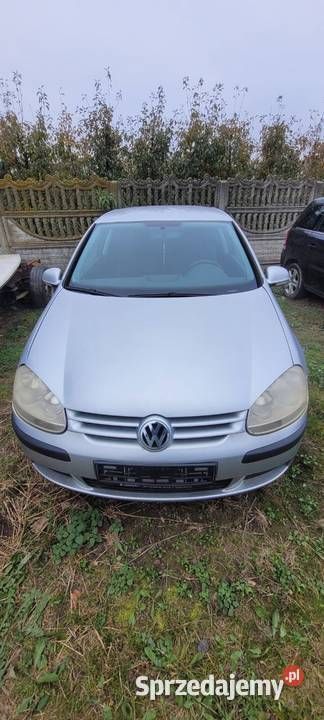 Srebrny Używany 2004 VW Golf V | 7000 zł (Uczciwa cena) - Obraz 1/4