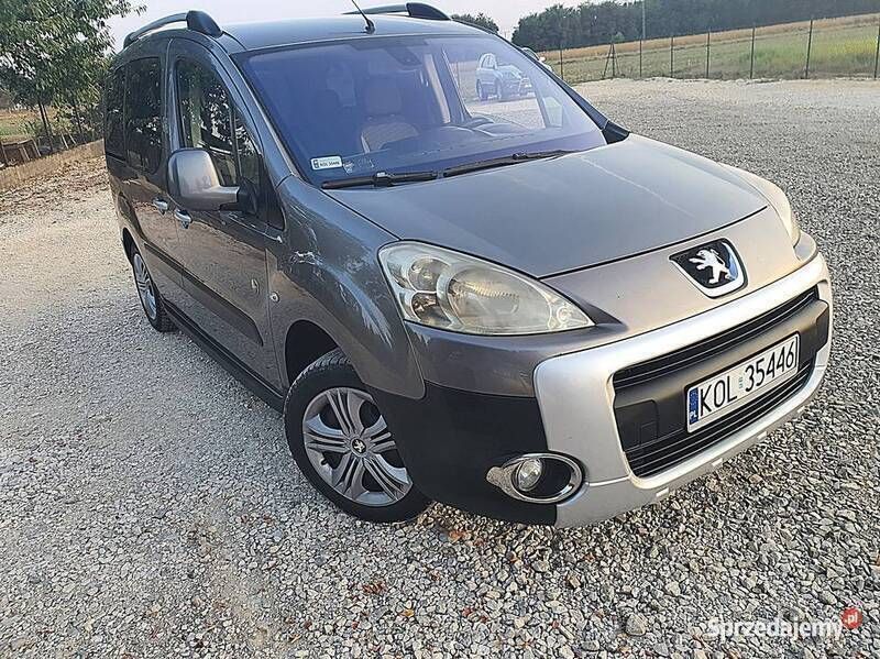 Używany Peugeot Partner 2009 Zielony Minivan