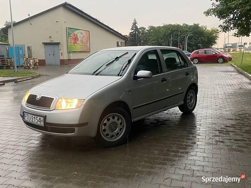 Używany Skoda Fabia 2002