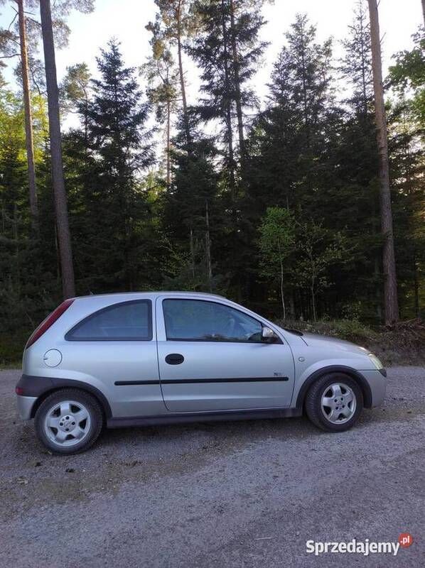 Używany Opel Corsa 2003 Srebrny Hatchback