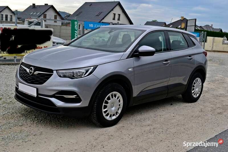 Szary Używany 2019 Opel Grandland X SUV | 59 900 zł (Uczciwa cena) - Obraz 1/4