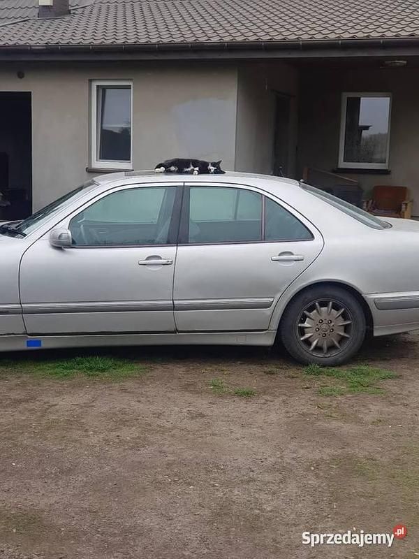 Używany Mercedes E320 2000 Srebrny Sedan/Limuzyna