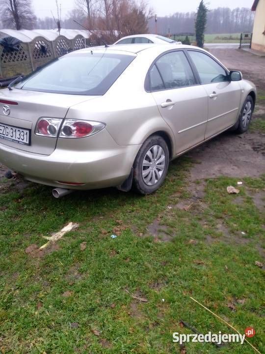 Obraz 2/4