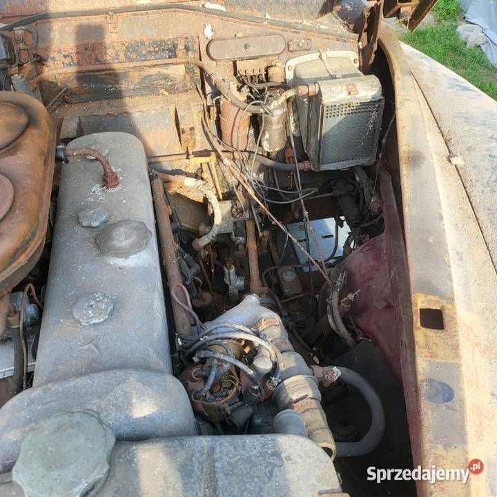Używany 1952 Mercedes 300 | 79 800 zł - Obraz 1/4