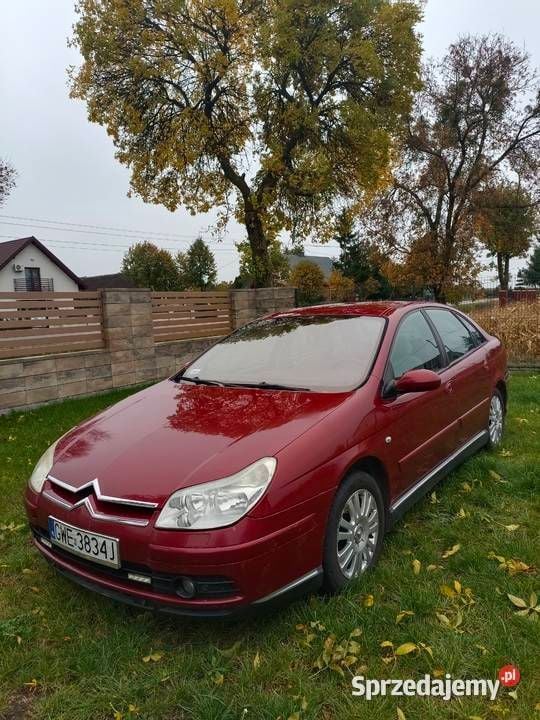 Obraz 4/4