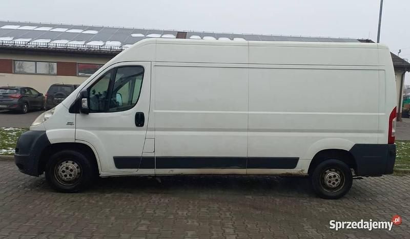 Używany Fiat Ducato 2008 Biały Van