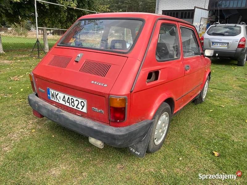 Obraz 2/4