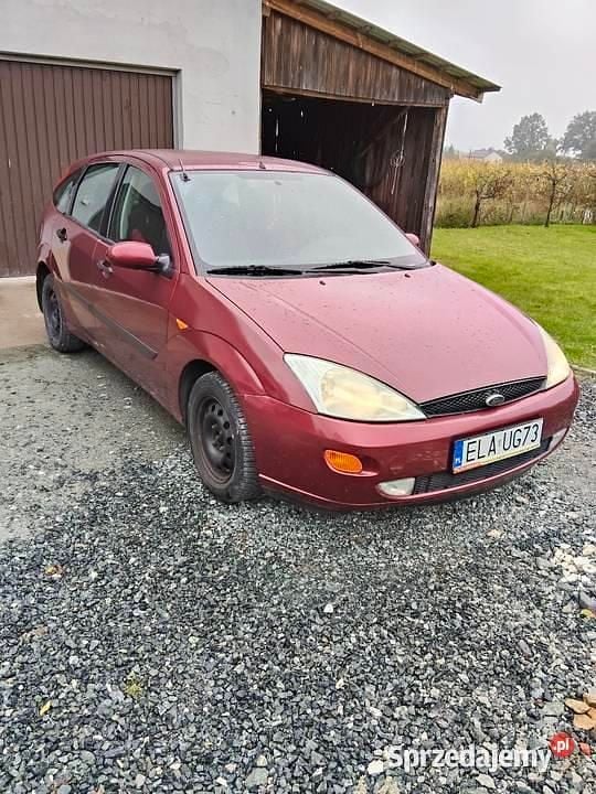 Bordowy Używany 2001 Ford Focus Hatchback | 3000 zł (Uczciwa cena) - Obraz 1/4