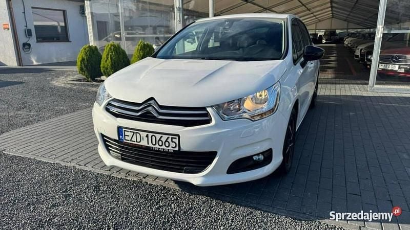 Obraz 2/4