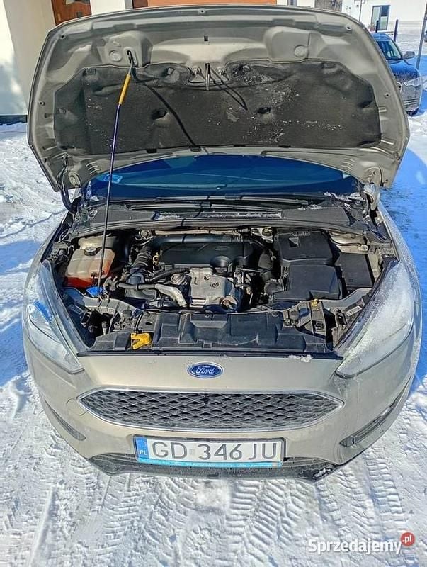 Używany Ford Focus 2015 Złoty Hatchback