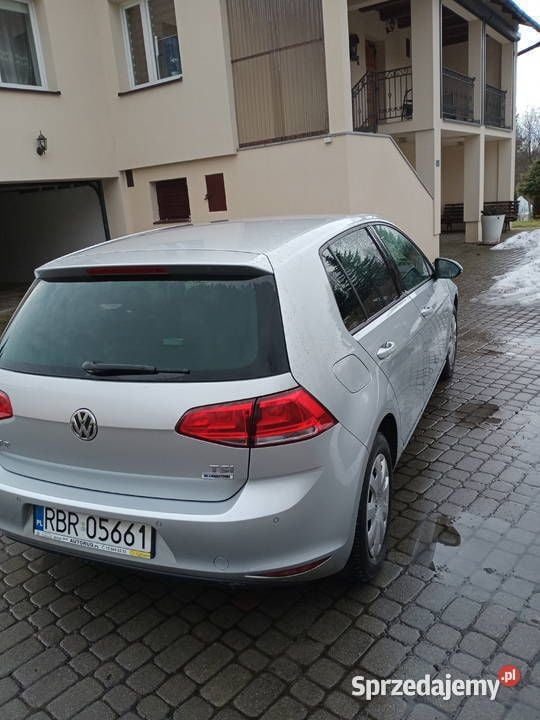 Używany 2014 VW Golf VII | 38 800 zł (Dość drogi) - Obraz 1/2