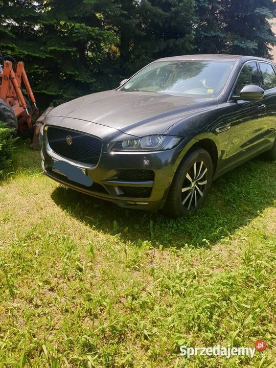 Używany 2016 Jaguar F-Pace SUV | 69 000 zł - Obraz 1/4