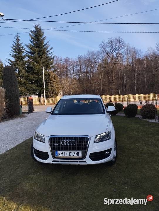 Biały Używany 2009 Audi Q5 SUV | 47 900 zł (Dość drogi) - Obraz 1/4