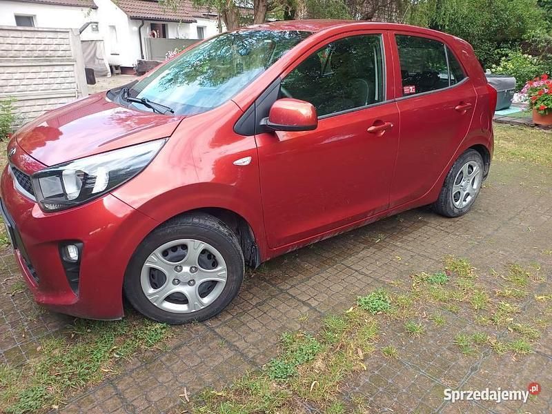Używany Kia Picanto 67 KM (49 kW) 2017 Pomarańczowy Hatchback