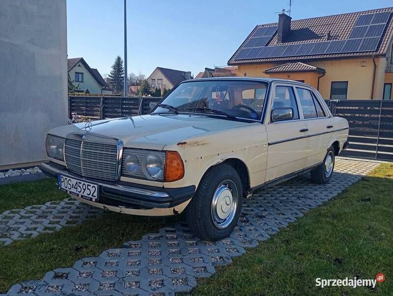 Obraz 2/4