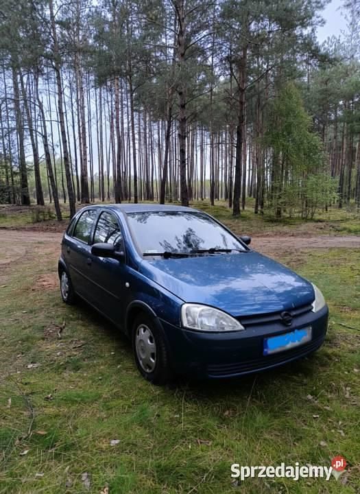 Używany 2001 Opel Corsa Sedan/Limuzyna | 3500 zł (Uczciwa cena) - Obraz 1/3