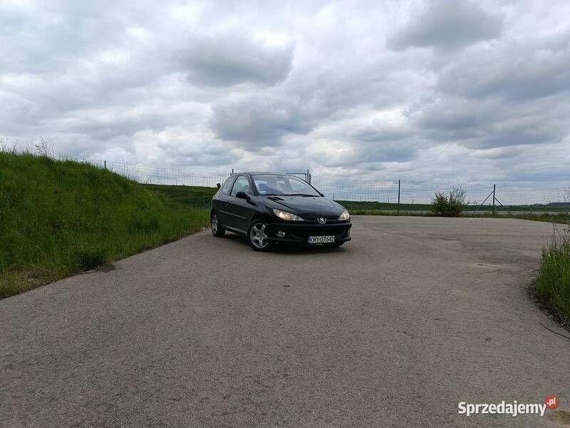 Używany 2002 Peugeot 206 S16 | 4000 zł (Dość drogi) - Obraz 1/4