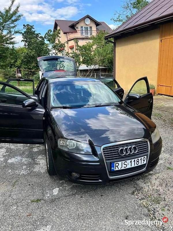 Używany 2007 Audi A3 | 13 950 zł (Uczciwa cena) - Obraz 1/4
