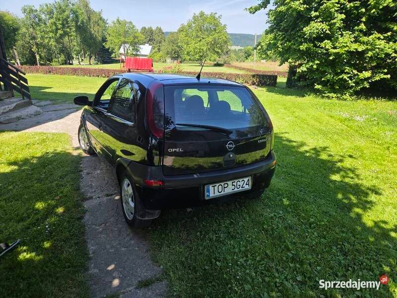 Obraz 2/4
