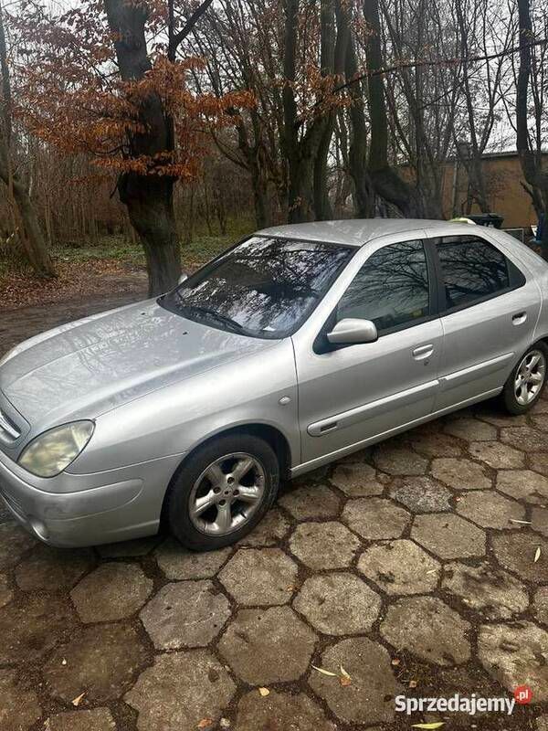 Używany 2005 Citroën Xsara | 3300 zł - Obraz 1/4