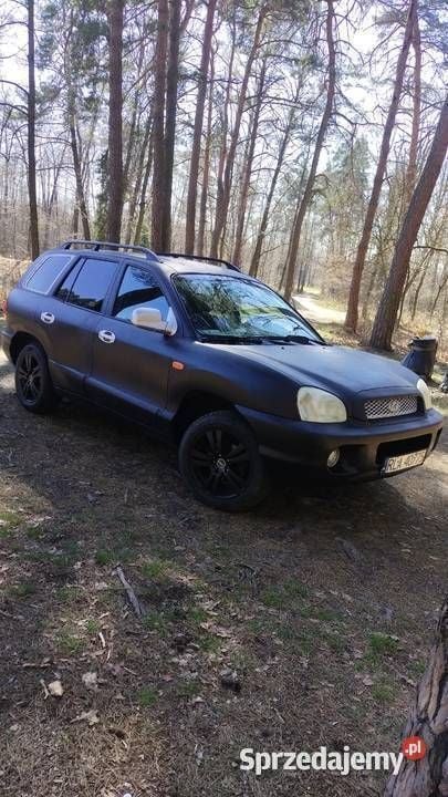 Używany 2004 Hyundai Santa Fe SUV | 9000 zł (Uczciwa cena) - Obraz 1/4