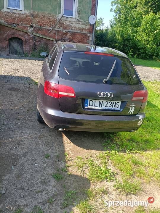 Obraz 4/4