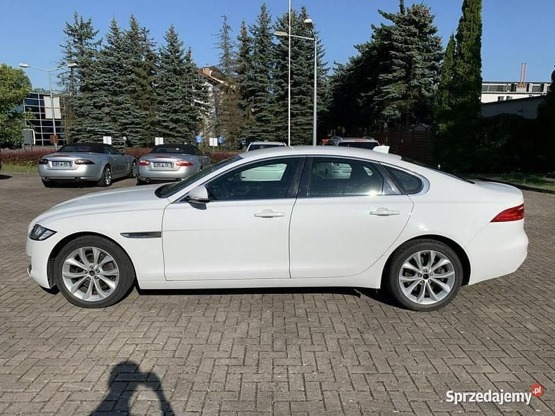Używany Jaguar XF 241 KM (177 kW) 2017 Biały (metalik) Sedan/Limuzyna