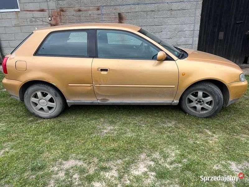 Złoty Używany 1999 Audi A3 Hatchback | 2600 zł (Dobra cena) - Obraz 1/4