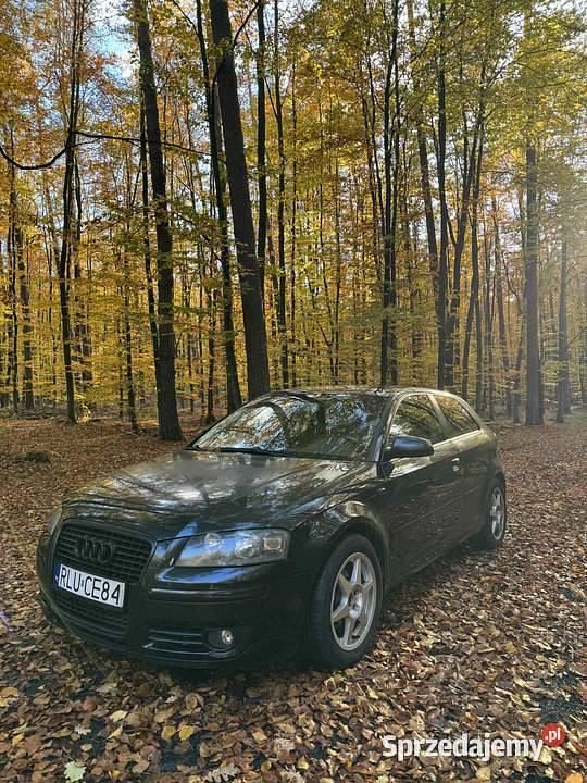 Używany 2004 Audi A3 | 4800 zł (Super Cena) - Obraz 1/3