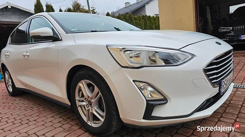 Używany Ford Focus 2018 Biały Hatchback