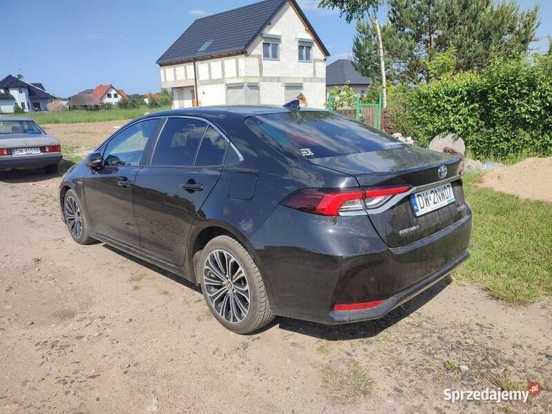 Obraz 3/4