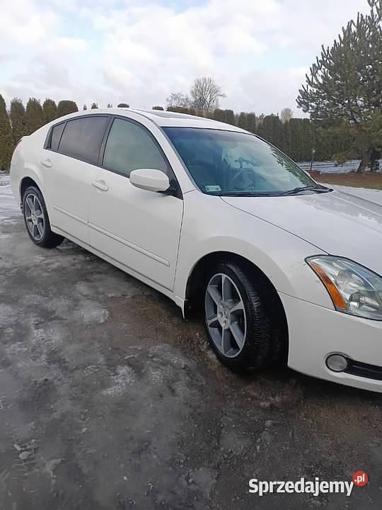 Używany Nissan Maxima 2005 Sedan/Limuzyna