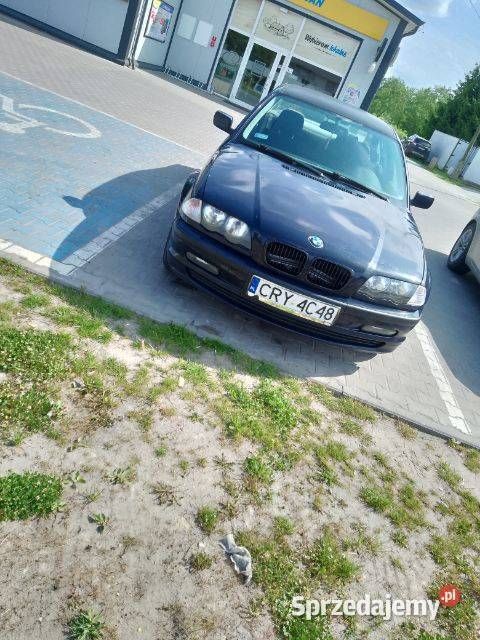 Obraz 2/3