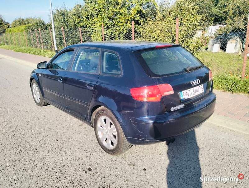 Używany 2007 Audi A3 | 9000 zł (Dobra cena) - Obraz 1/2