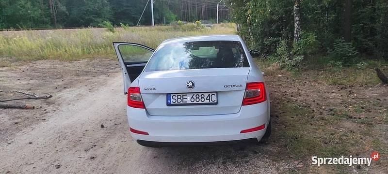 Biały Używany 2014 Skoda Octavia Hatchback | 26 500 zł (Dość drogi) - Obraz 1/4