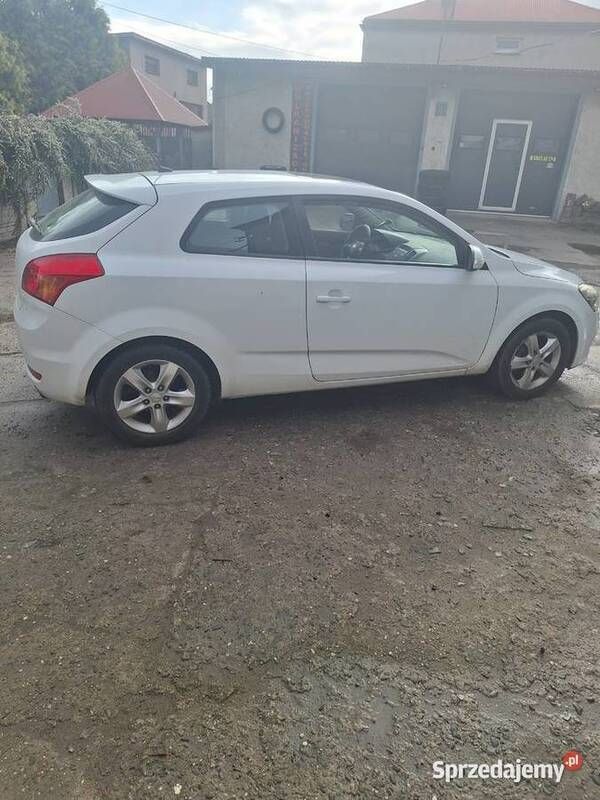 Biały Używany 2012 Kia Ceed Hatchback | 16 000 zł (Dobra cena) - Obraz 1/4