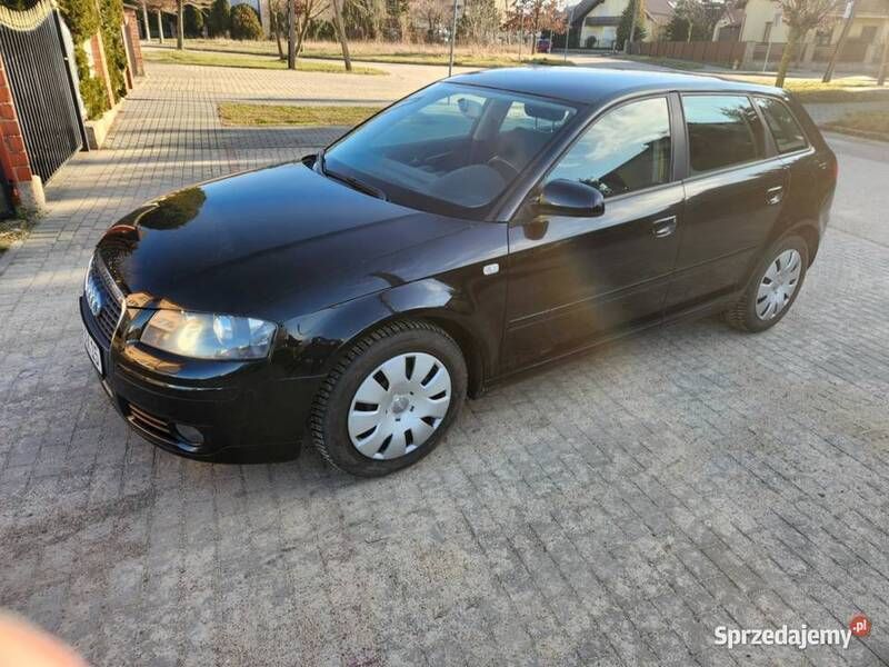 Używany 2007 Audi A3 | 17 500 zł (Uczciwa cena) - Obraz 1/4