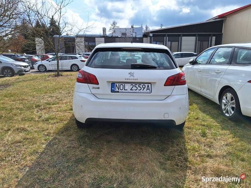 Używany Peugeot 308 120 KM (88 kW) 2017 Biały Hatchback