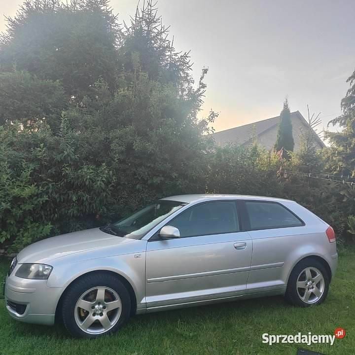 Używany 2004 Audi A3 | 14 500 zł (Dość drogi) - Obraz 1/4